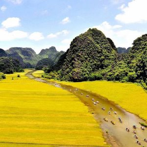 Tam coc rice fields